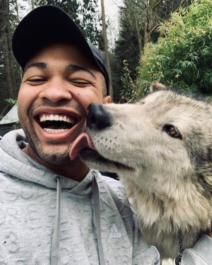 You Can Visit This Island Full Of Friendly Wolves!