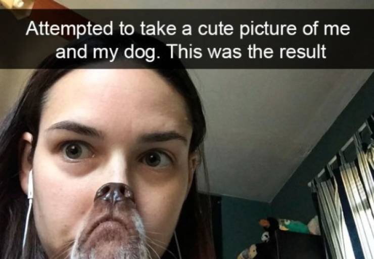 Dogs Rule Over Snapchat!