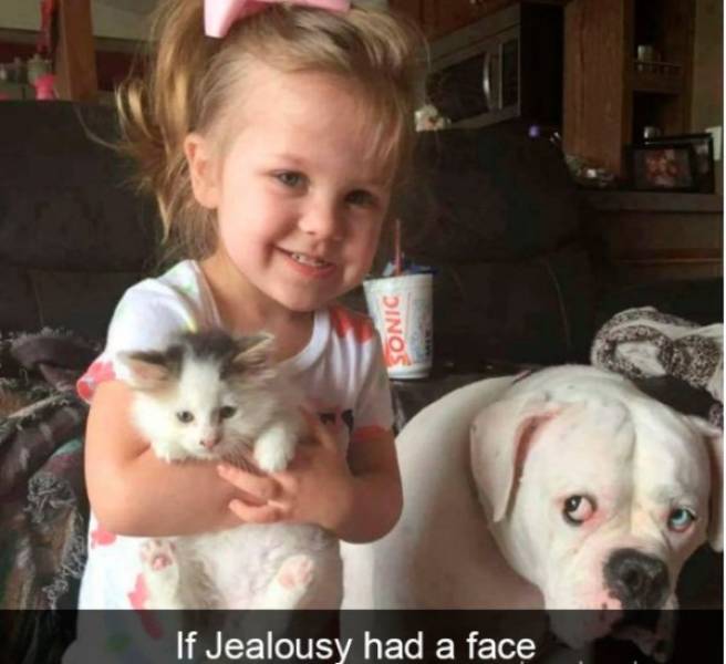 Dogs Rule Over Snapchat!