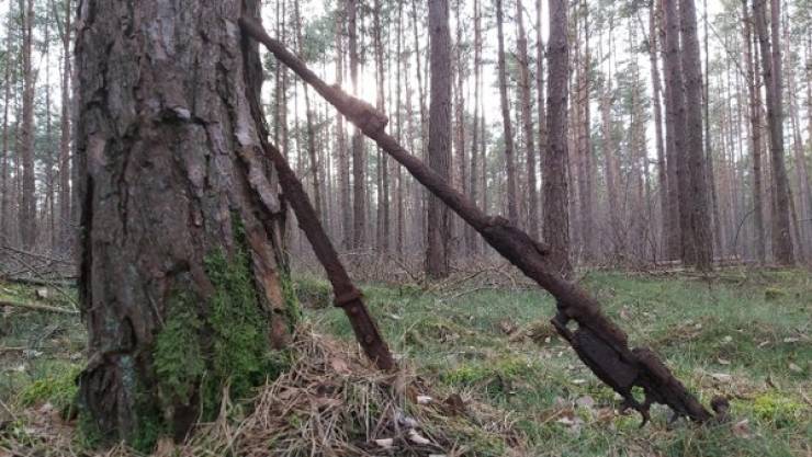 Metal Detectors Can Find Some Curious Stuff!