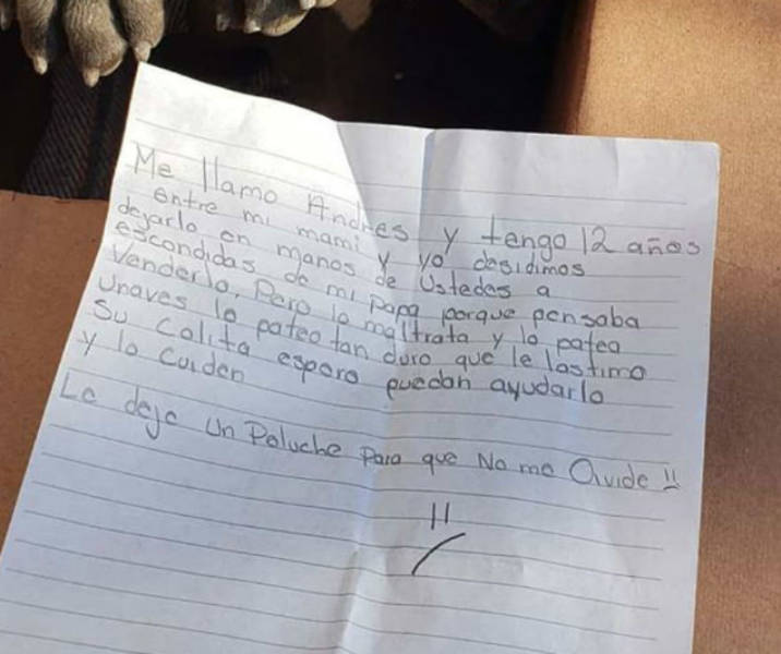 Boy Leaves His Dog At A Shelter So His Dad Can’t Beat It, Leaves His Toy As A Memento