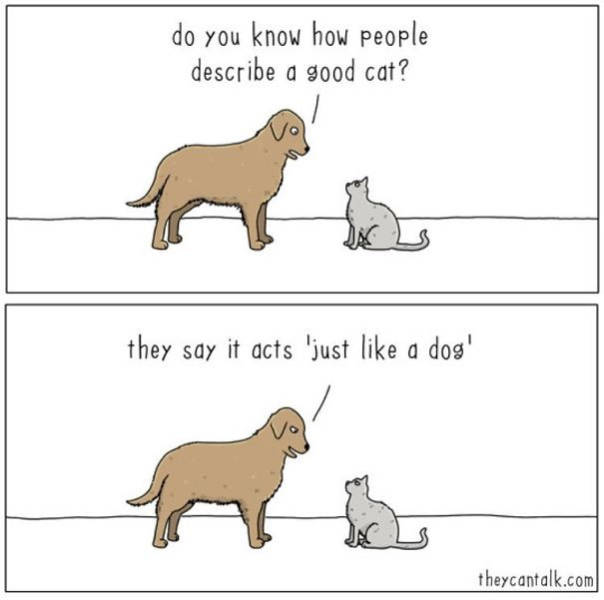 These Comics Show What Animals Talk About