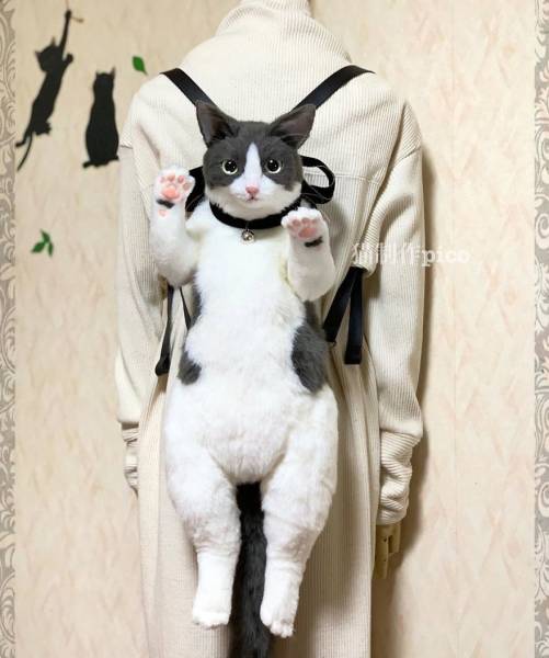 Japan Now Sells Cat Bags!