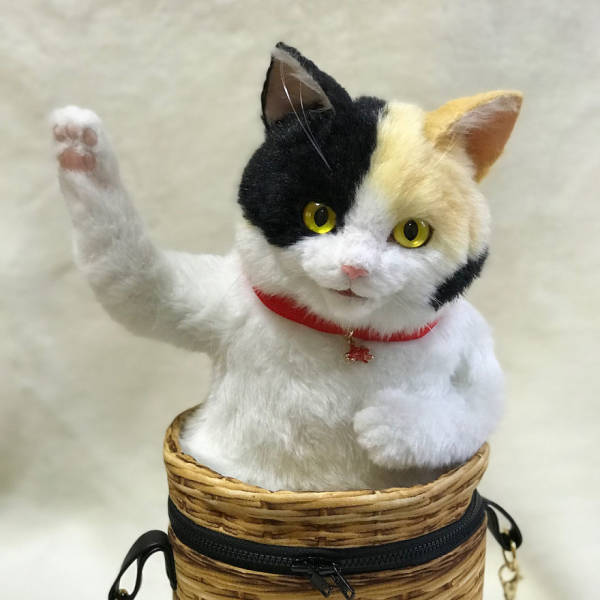 Japan Now Sells Cat Bags!