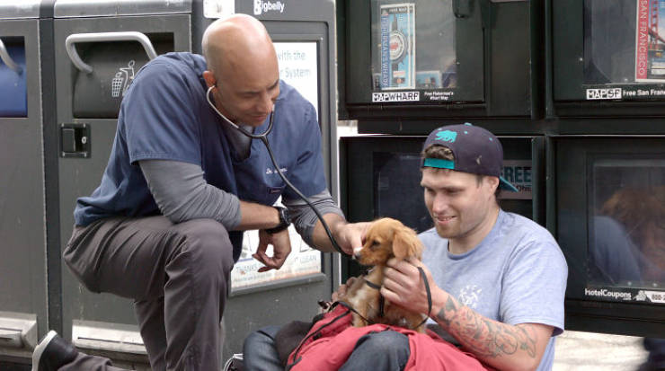This Californian Veterinarian Treats Homeless People’s Animals For Free!