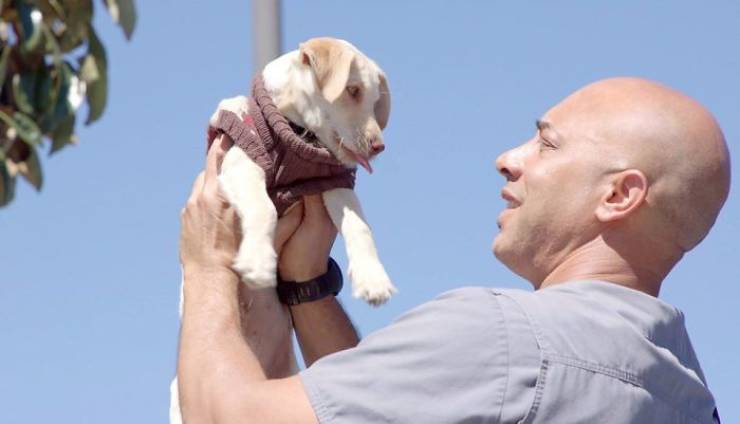 This Californian Veterinarian Treats Homeless People’s Animals For Free!