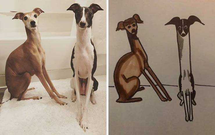 Wisconsin Humane Society Will Make A Bad Drawing Of Your Pet For A Small Donation