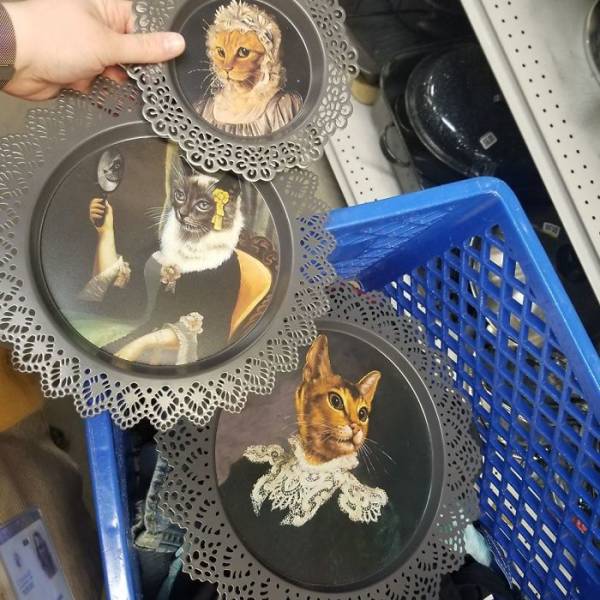 Extremely Lucky Finds From Thrift Stores