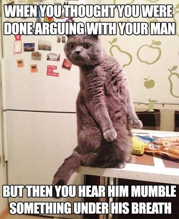 Married Life Is Full Of Jokes…