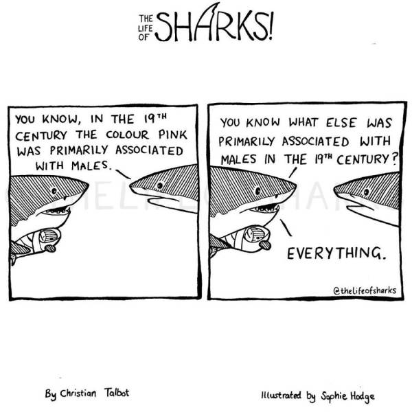 These Comics Give Us Funny Insights Into Shark Lives