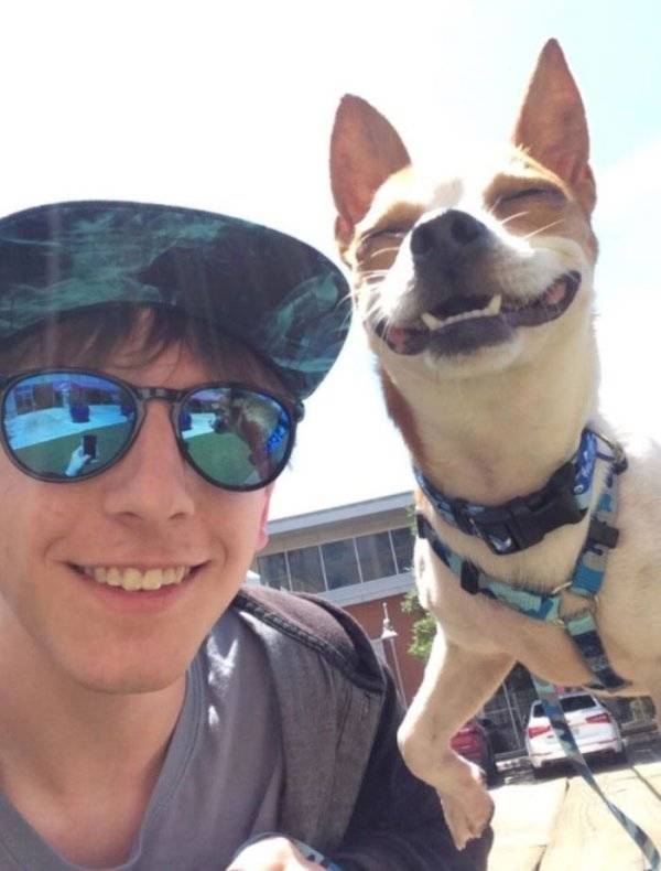 Warm Your Heart With These Adopted Pet Stories