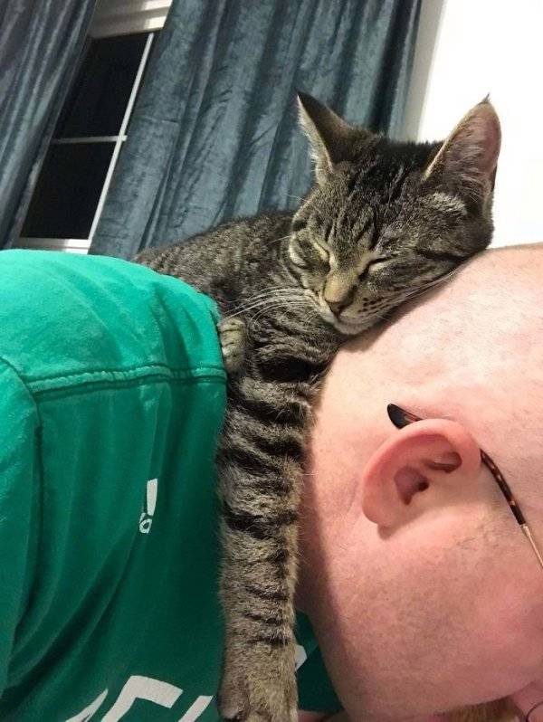 Warm Your Heart With These Adopted Pet Stories