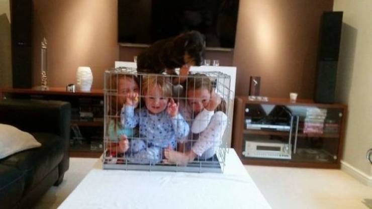 Dads Who Were Born To Be Dads