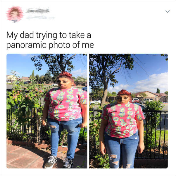 Dad Owners Who Nail Their Humor Game