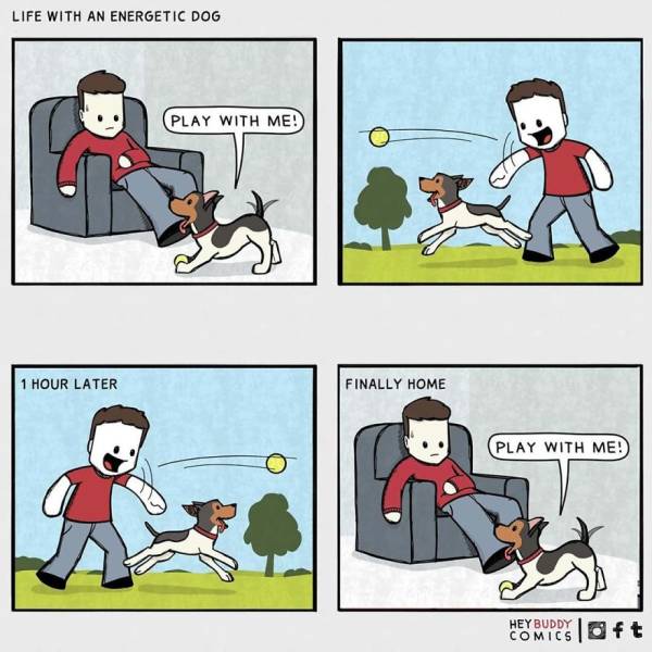 Dog Owners Will Find These Comics Extremely Relatable