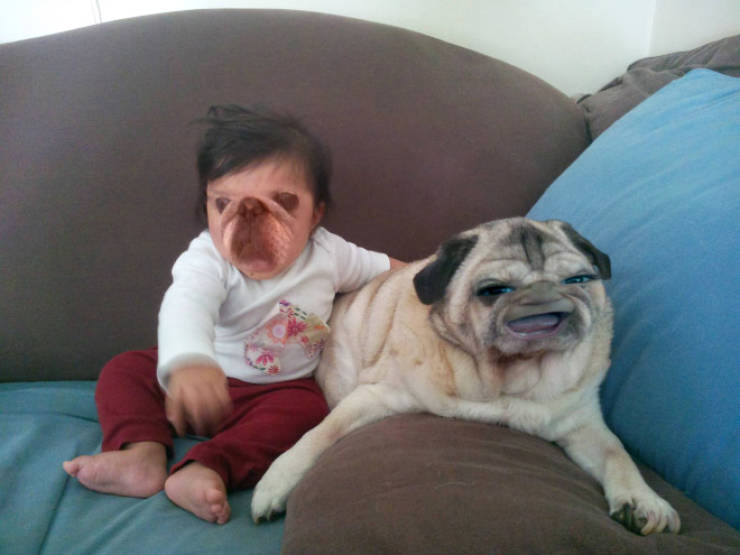 Never Do Baby Faceswaps!