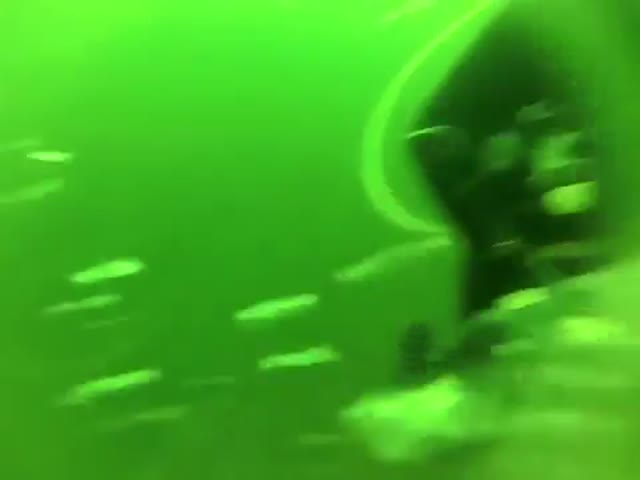 Underwater Panic Attack