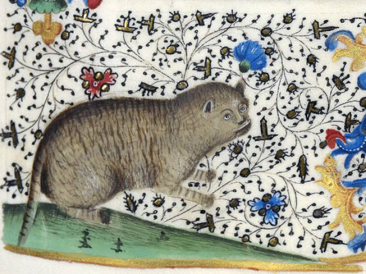Medieval Artists Really Didn’t Know How Cats Look