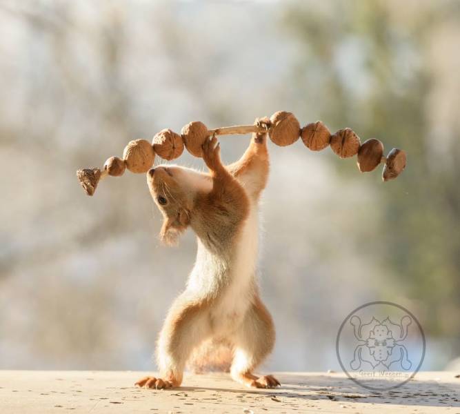 Photographer Becomes Best Friends With Squirrels