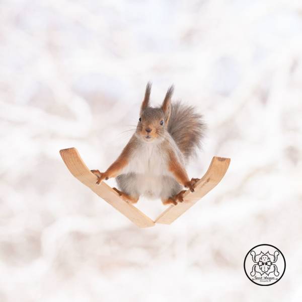 Photographer Becomes Best Friends With Squirrels