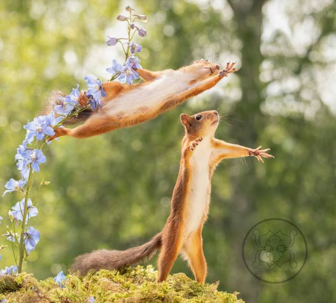 Photographer Becomes Best Friends With Squirrels