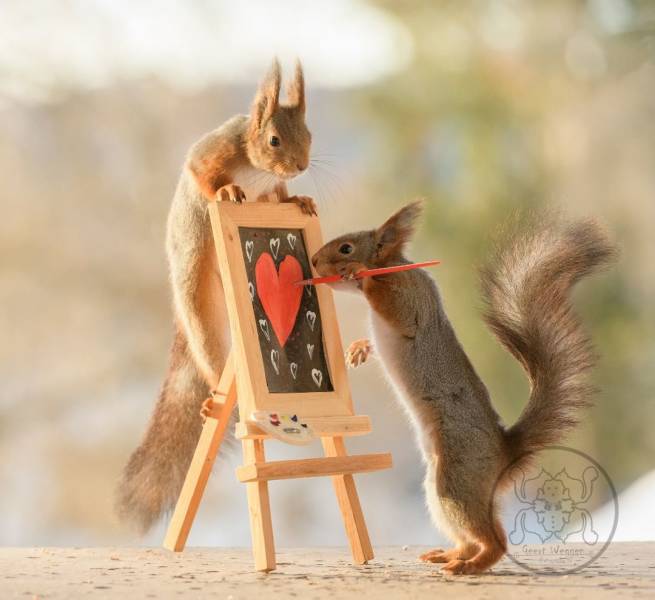 Photographer Becomes Best Friends With Squirrels