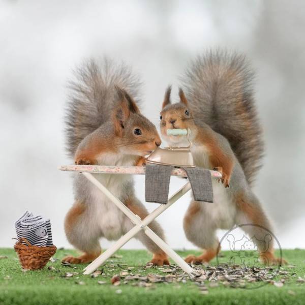 Photographer Becomes Best Friends With Squirrels