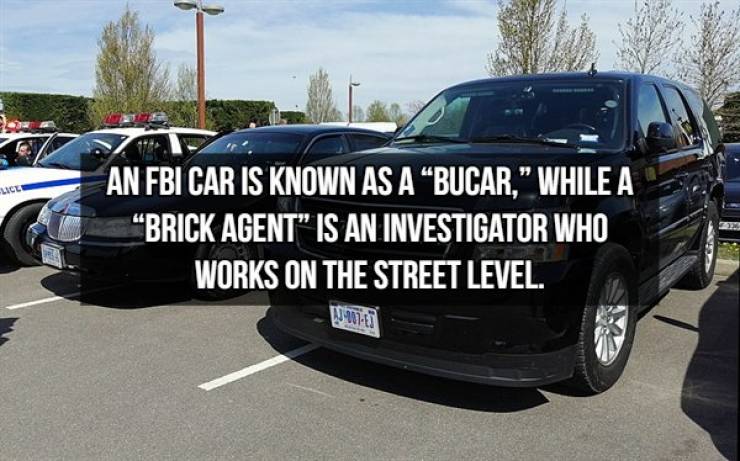You Shouldn’t Know These FBI Facts