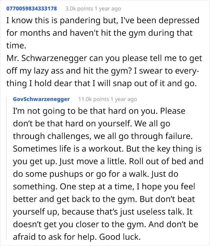 It Appears That Arnold Schwarzenegger Is Quite A Wholesome Redditor!