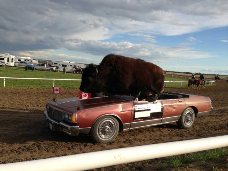 Cars Are Still Having Fun Out There…