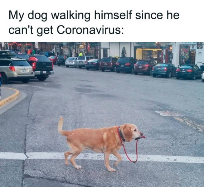 Coronavirus Quarantine Is Still A Great Topic For Jokes!