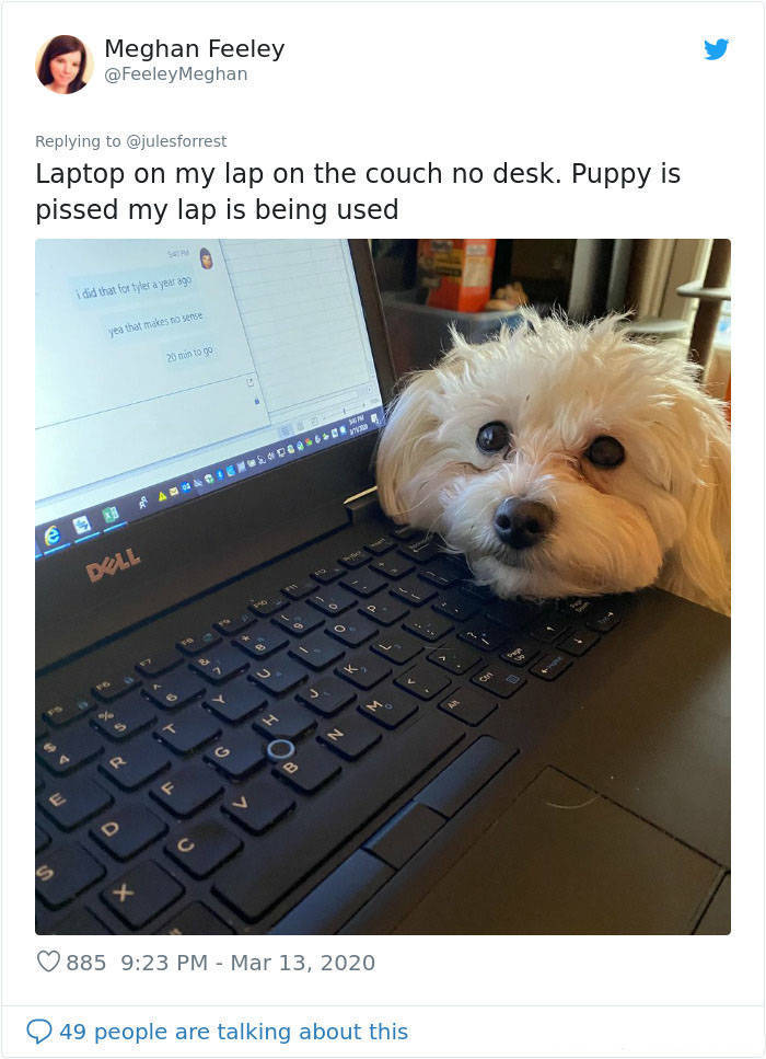 How People REALLY Work From Home