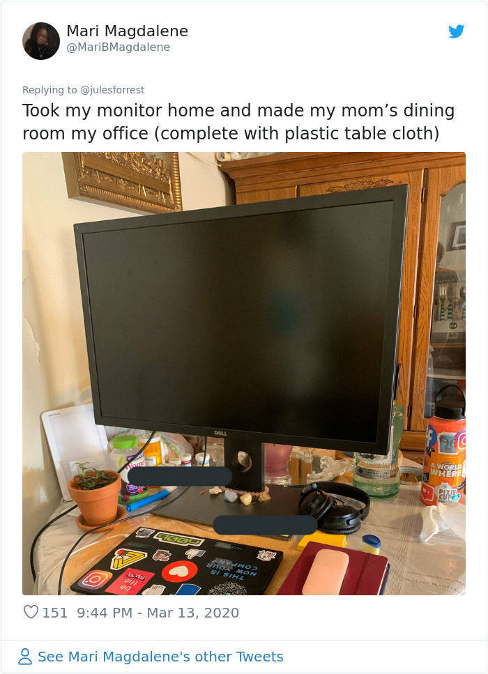 How People REALLY Work From Home