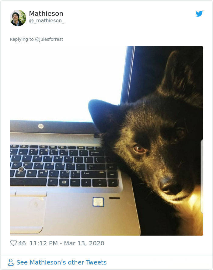 How People REALLY Work From Home