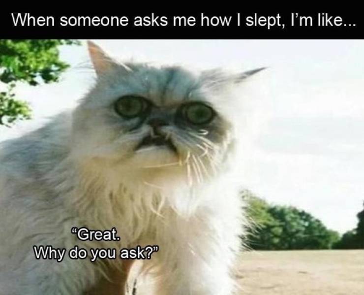 Don’t Sleep Through These Insomnia Memes