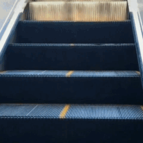 Why Are These GIFs So Mesmerizing?!