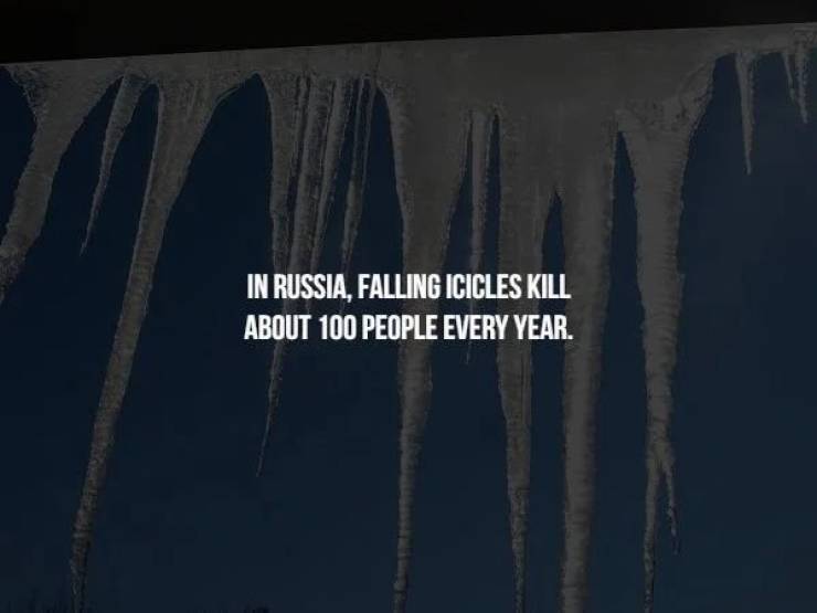 Some Creepy Facts For You To Read In The Dark