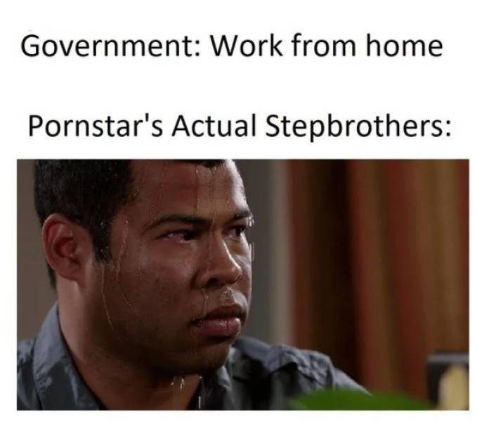 At Least They Try To Work From Home…