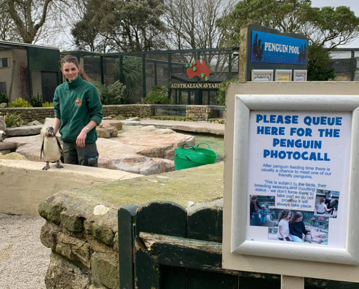 English Zookeepers Decided To Self-Isolate… At Work!