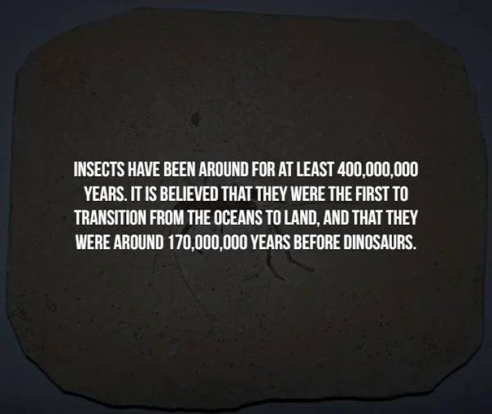 Creepy Facts Are Everywhere Right Now