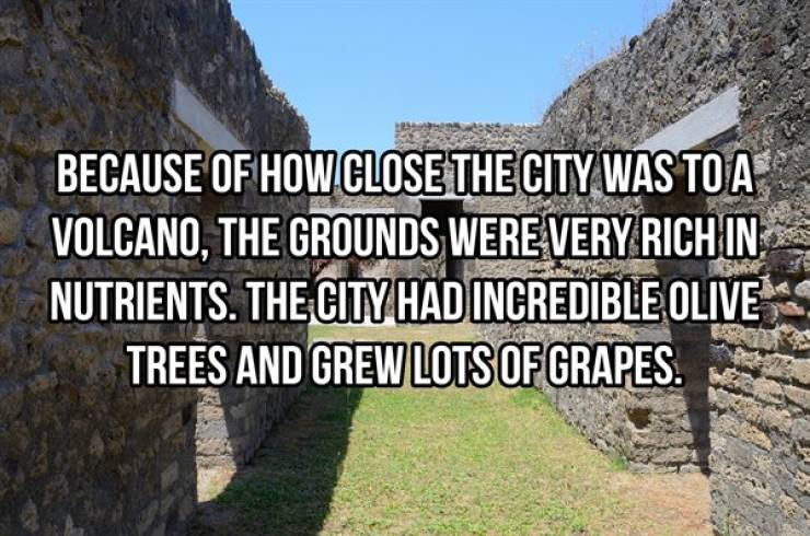 These Pompeii Facts Are Frozen In Time