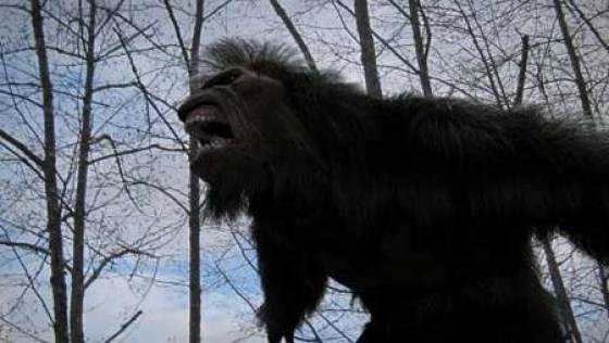 Big-Footed Facts About The Legend Of Bigfoot
