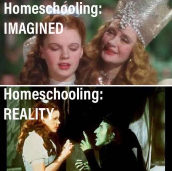 You Will Be Exhausted After These Homeschooling Memes
