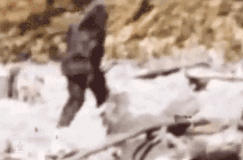 Big-Footed Facts About The Legend Of Bigfoot
