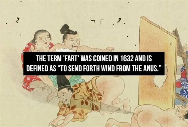 Fart Facts, Because Why Not...