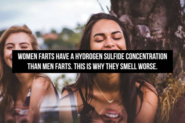 Fart Facts, Because Why Not...