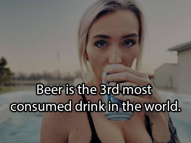 Let’s Brew Up Some Beer Facts