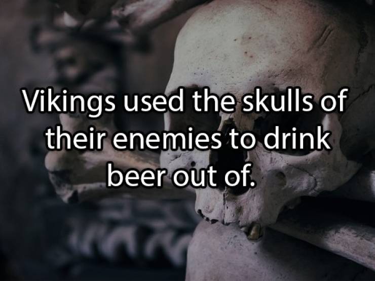 Let’s Brew Up Some Beer Facts