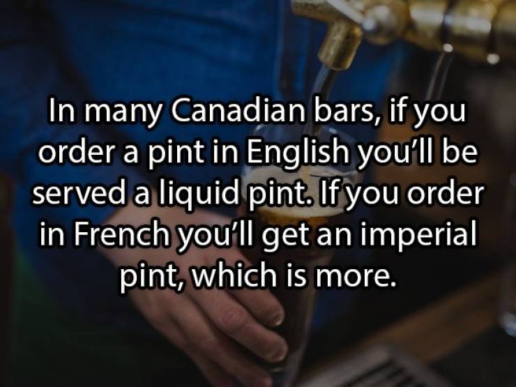 Let’s Brew Up Some Beer Facts