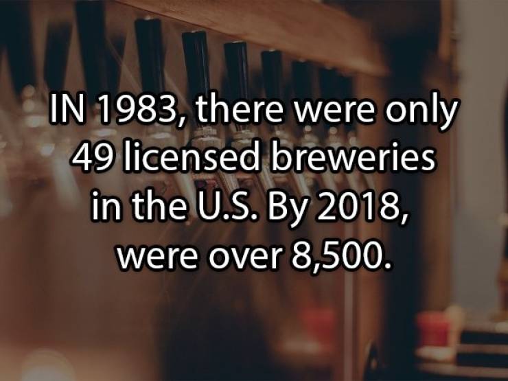 Let’s Brew Up Some Beer Facts